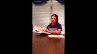Literary Elements Lesson Plan part 1