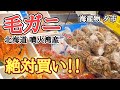 【北海道】白老『海産物夕市』期間限定!豊漁の毛蟹が安く大満足🤩たまには◯◯で酒ぇ〜!