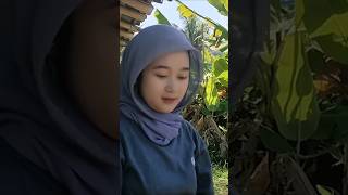 Masya Allah Natural Beauty ricefields villagegirl escetv