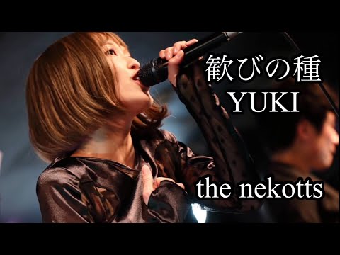 歓びの種/YUKI(cover.) the nekotts