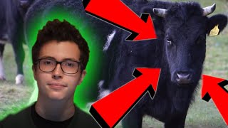 2 reasons why Humans can't eat Grass! (but Cows can)