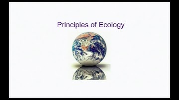 25 Principles of Ecology Part 2 Sr. Secondary 314