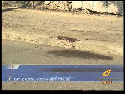 დაჭრის ფაქტი გახსნილია 21 01 15