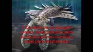 Monstruos marinos 1 Anomalocaris