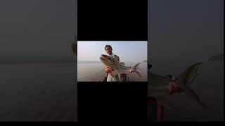 #fishing #cool #funny @Finatic