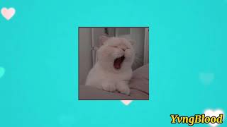 John Wolf - Anymore Nightcore Ver.