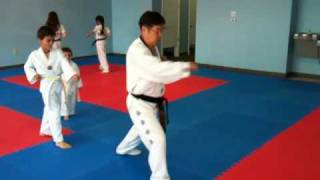 Taegeuk 1  Il-Jang Tiger Form 1 Tae Kwon Do