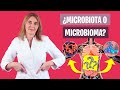 Debes ENTENDER el MICROBIOMA y la MICROBIOTA | Microbiota intestinal | Nutrición y Dietética