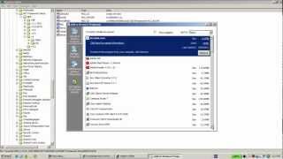 Sentinel Support - How to check if .net framework setup is installed screenshot 2