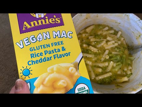 Honest Review Vegan