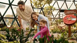The Butterfly Gardens Abu Dhabi