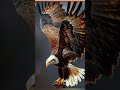 my new channel please my saput me amazing chil facts