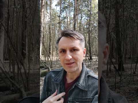Как быстро попасть в нужное состояние медитации
