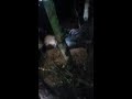 Assassinos de homem degolado em Capixaba podem estar no Quinari; veja vídeo do crime