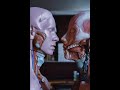 What is human anatomy ? | Function of the human body | Perfusionist |