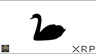 XRP Rich List Revealed , Ripple Infrastructure & Satoshi's $124 Billion Empire