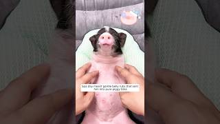 This Woman Adopted A Mini Piglet With Love, But He Kept Growing