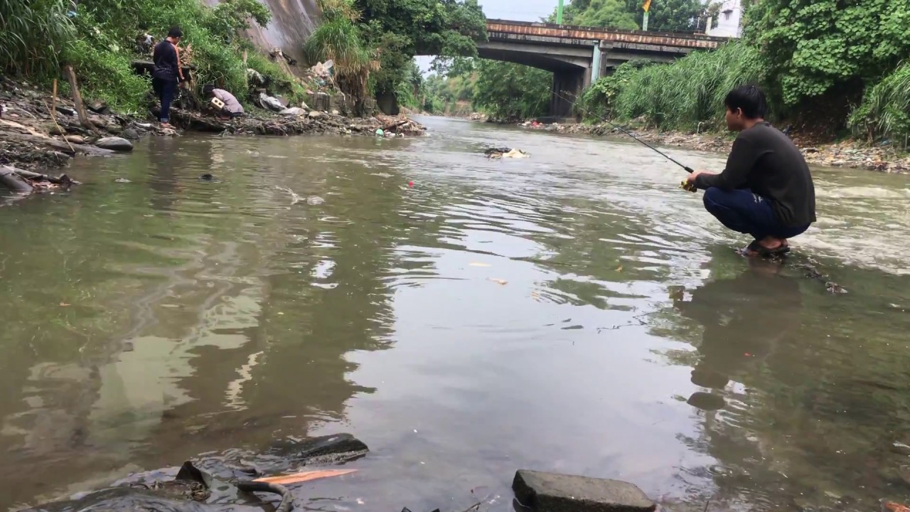 Medan Fishing Mancing Di Sungai Deli