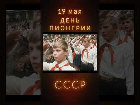С ДНЁМ ПИОНЕРИИ #деньпионерии #пионер #советскийсоюз #ретролёт #когдатодавно #староетв #назадвссср