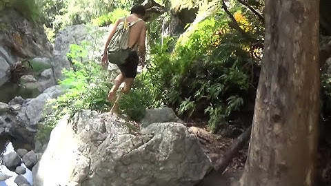 BACON OF THE SEA - Mud Crabs caught BAREHANDED - Catch n Cook