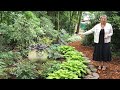 🌳 Garden Tour ~ Beautiful Shade Garden ~ Y Garden 🌳