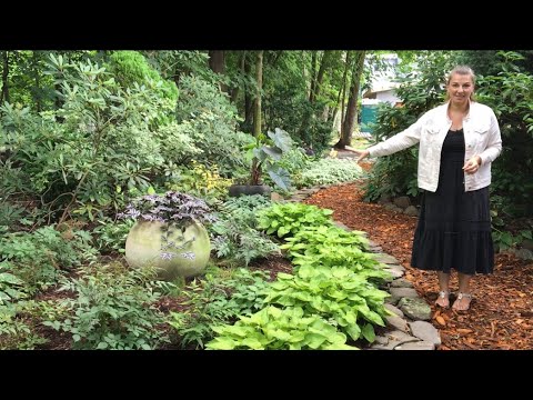 🌳 Garden Tour ~ Beautiful Shade Garden ~ Y Garden 🌳