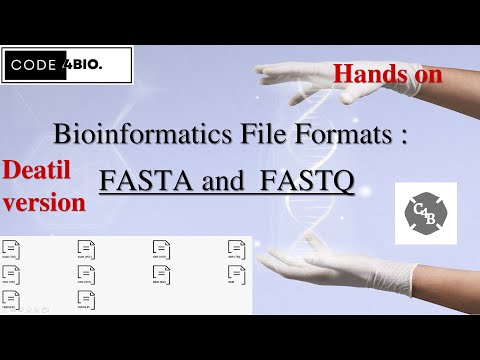 Bioinformatics - File
