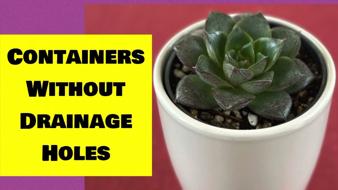 succulent garden pot ideas Emerson Succulent Planter