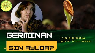  DESCÚBRELO Es cierto que:  las semillas GERMINAN sin ayuda ??