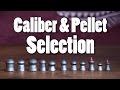 Caliber & Pellet Selection | AB101 Pt. 7