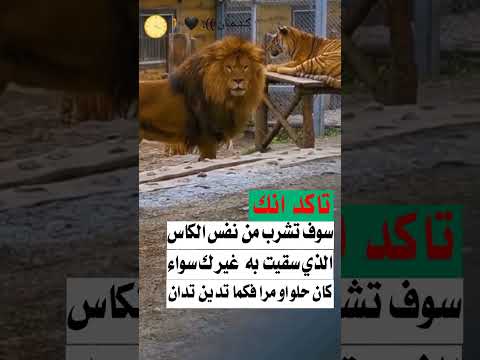 تاكد انك سوف تشرب من نفس الكاس