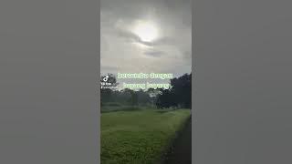 ku mulai bosan, bercumbu dengan bayang bayang#viral #asik #alam #jalanjalan #kangdodi