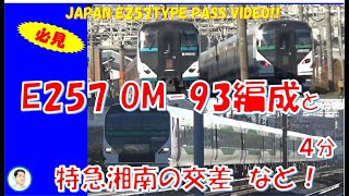 必見！E257系　OM-93編成5500番台と特急湘南の交差！めったに見れない😀🚂JAPAN E257TYPE EXPRESS PASS VIDEO