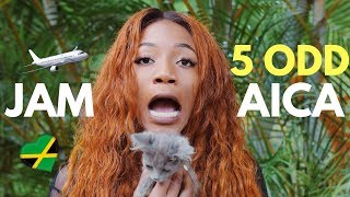 5 ODD THINGS ABOUT JAMAICA TO KNOW! 🇯🇲🌴🌞  | Annesha Adams
