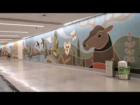 Video: Ce terminal se află la sud-vest la aeroportul Salt Lake City?