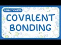 Understanding Covalent Bonds