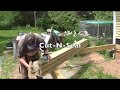 DIY Deck Part 3 - Building Beam & Installing Joists