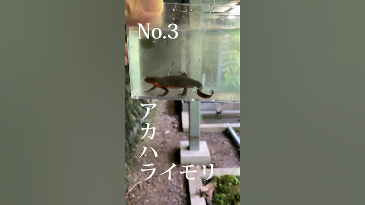 ビオトープにいる生き物まとめ。 #自然 #メダカ #ビオトープ