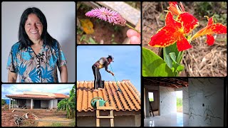 VLOG AQUI NA ROÇA 🌾 PINTURA DO TELHADO DA NOSSA CASA, MINHAS FLORES 💐  #vidanaroça 