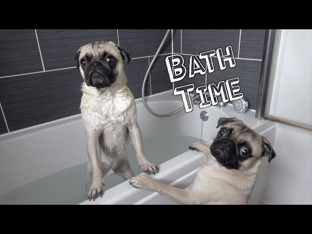 Bath Time!