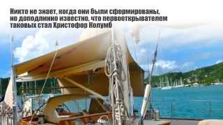 Второй паспорт Антигуа и Барбуды