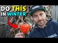 4 Winter Garden Tasks To Do NOW: Don't Wait For Spring!