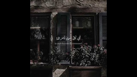 سورة فصلت اسلام صبحي