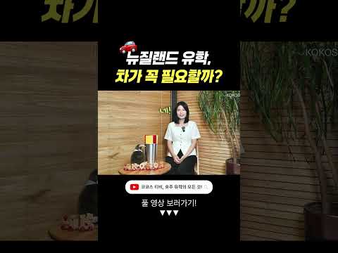 뉴질랜드 유학, 차가 꼭 필요할까?? #뉴질랜드 #뉴질랜드일상 #뉴질랜드이민