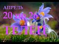 ТЕЛЬЦЫ. ПРОГНОЗ на НЕДЕЛЮ .с 20 по 26 АПРЕЛЯ.