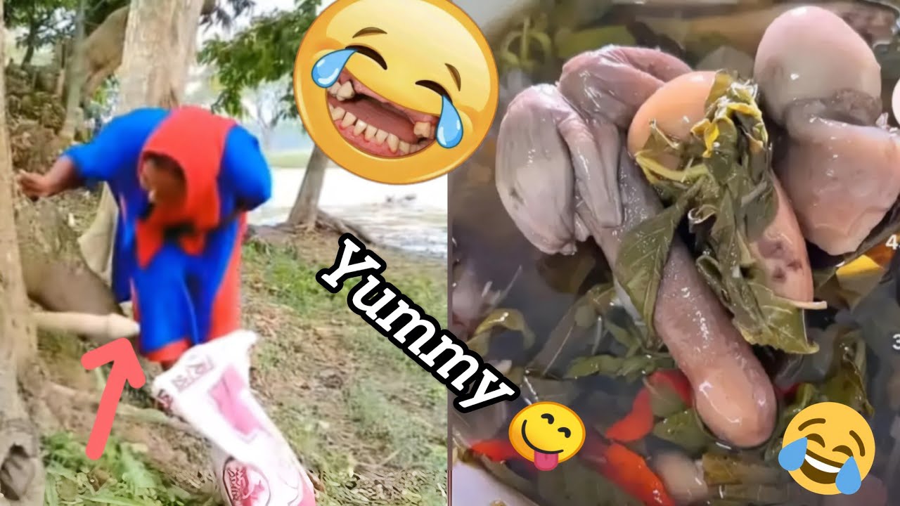 You Can't Hold Your Laugher For A Second//Best Funny Videos, Fails And Pranks