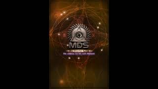 Mind Distortion System - Metamorphose