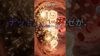 【最強コンビ】キムチ納豆を毎日食べ続けるとどうなるのか?