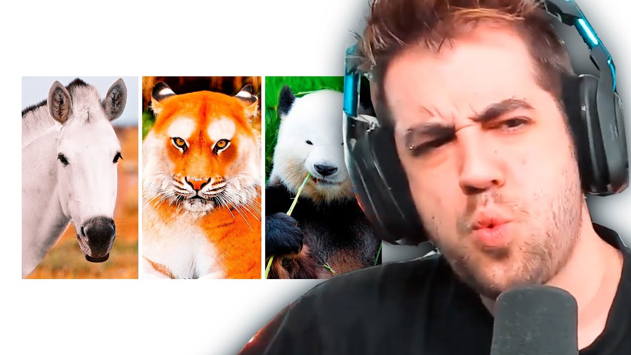 Auron reacciona a Dross, Curiosidades, Clips de Auronplay...