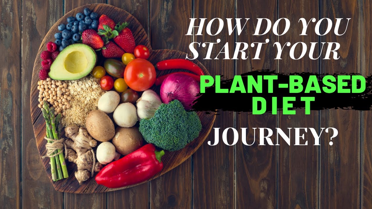Plant Based Diet Tips For Beginners How To Start Your Plant Based Plant Based Diet Tips For Beginners How To Start Your Plant Based
